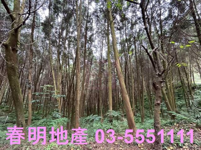 新竹橫山農地-9