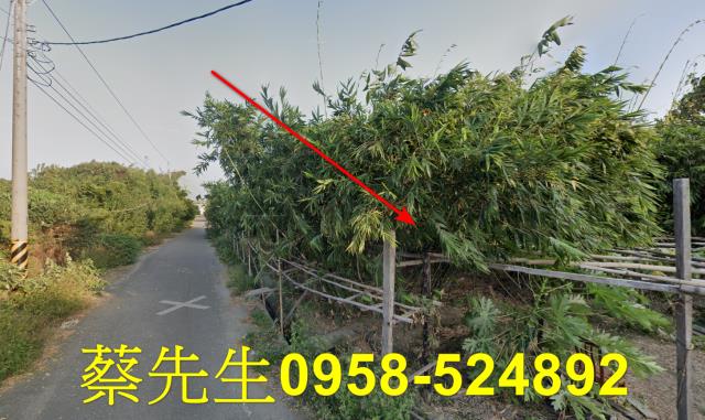 土庫農地法拍-4