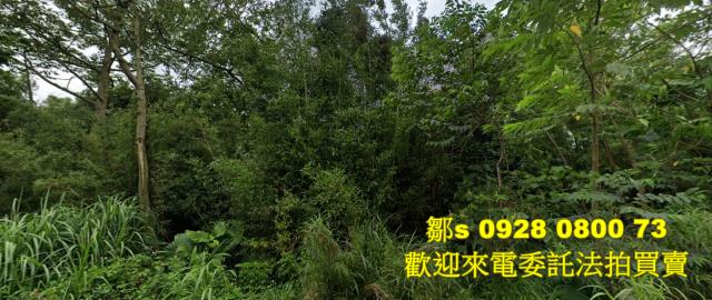 桃園龍潭法拍農地-1