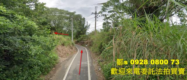 桃園龍潭法拍農地-11