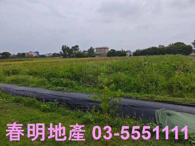 新竹湖口農地-7
