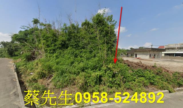 台西法拍建地-15