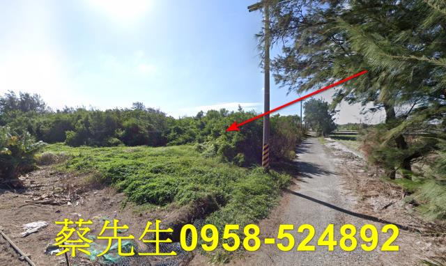 四湖農地法拍-13