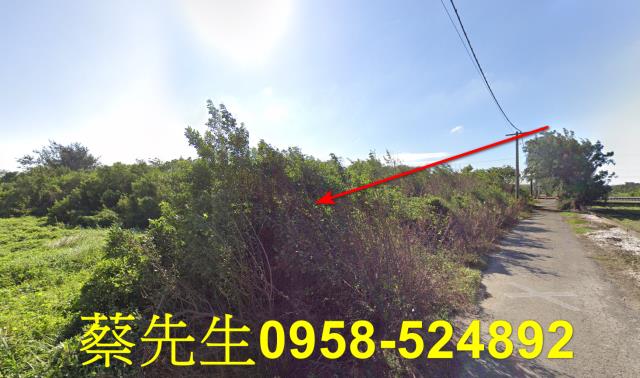 四湖農地法拍-4