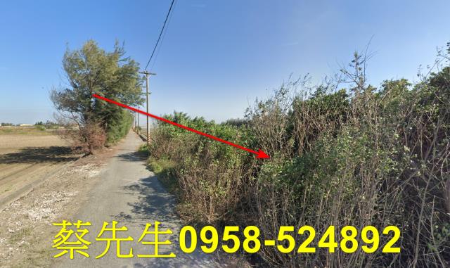 四湖農地法拍-6