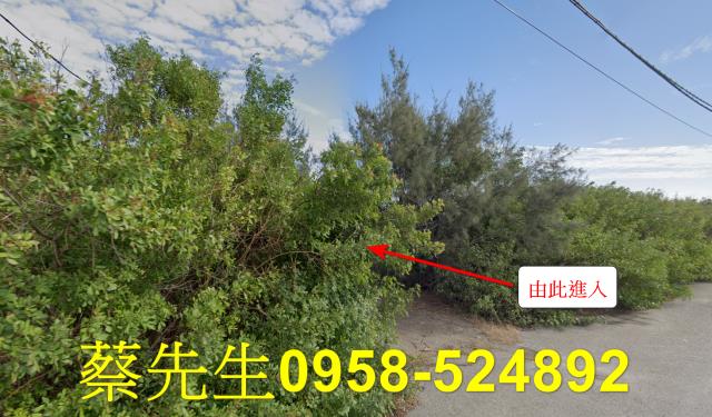 四湖法拍農地-7