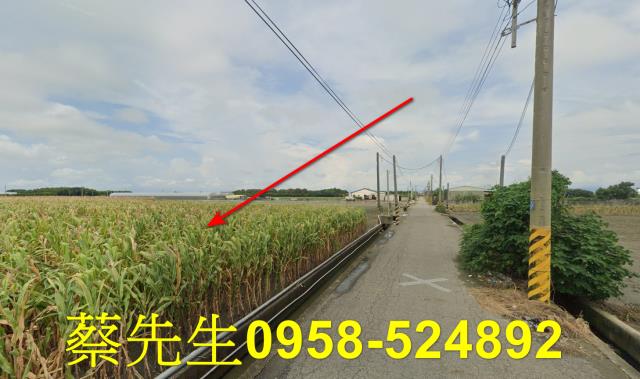 東勢鄉法拍農地-12