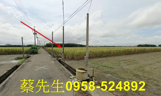 東勢鄉法拍農地-15