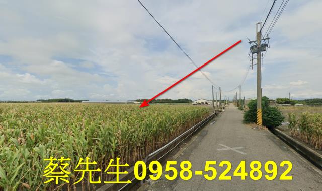 東勢鄉法拍農地-5