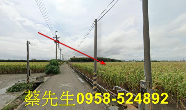 東勢鄉法拍農地-6