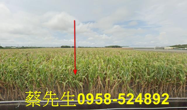 東勢鄉法拍農地-9