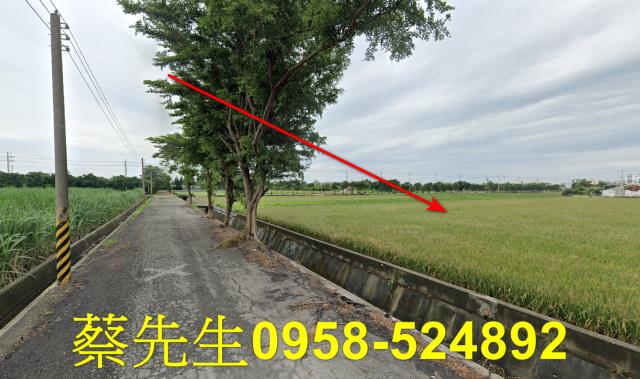 東勢鄉法拍農地-14