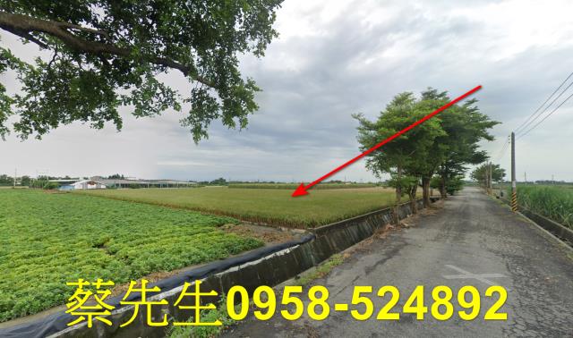 東勢鄉法拍農地-5