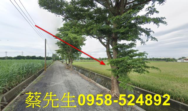 東勢鄉法拍農地-7