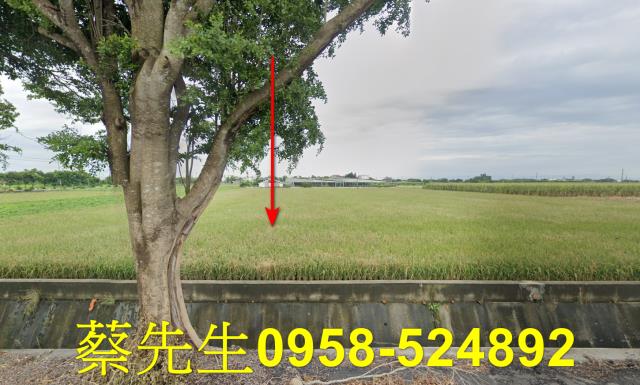 東勢鄉法拍農地-9