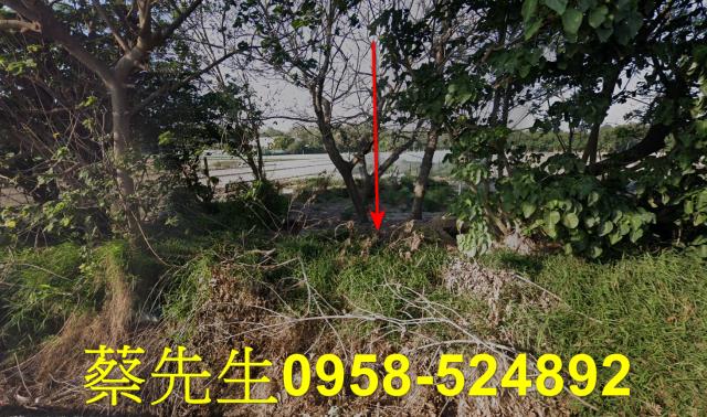 崙背拍賣農地-9