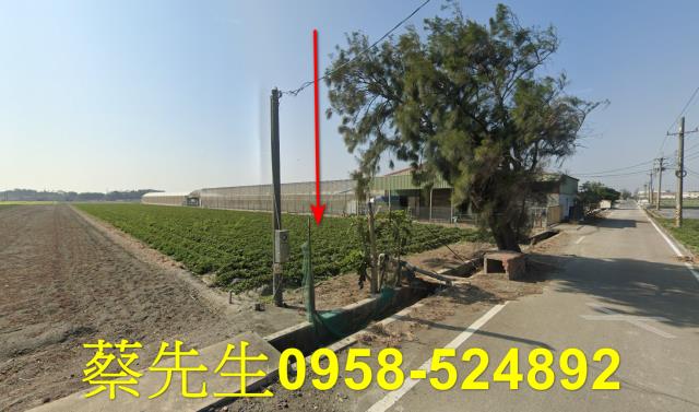 崙背農地拍賣-5