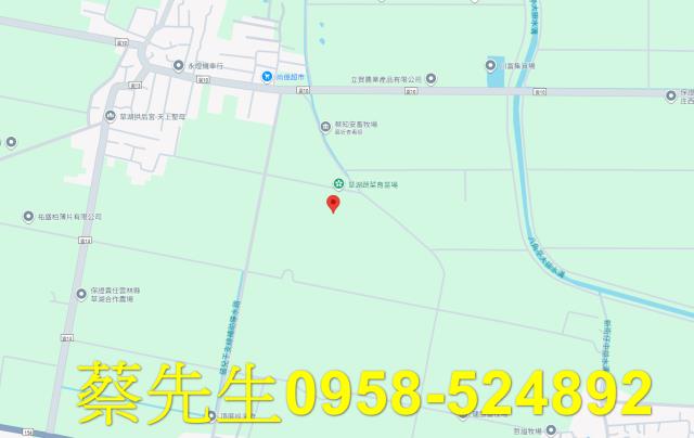 崙背農地拍賣-8