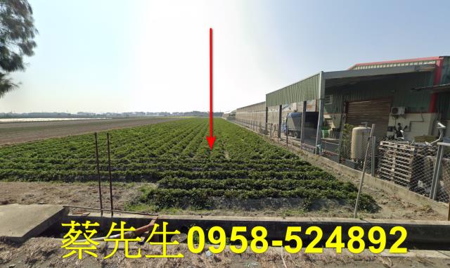 崙背農地拍賣-9