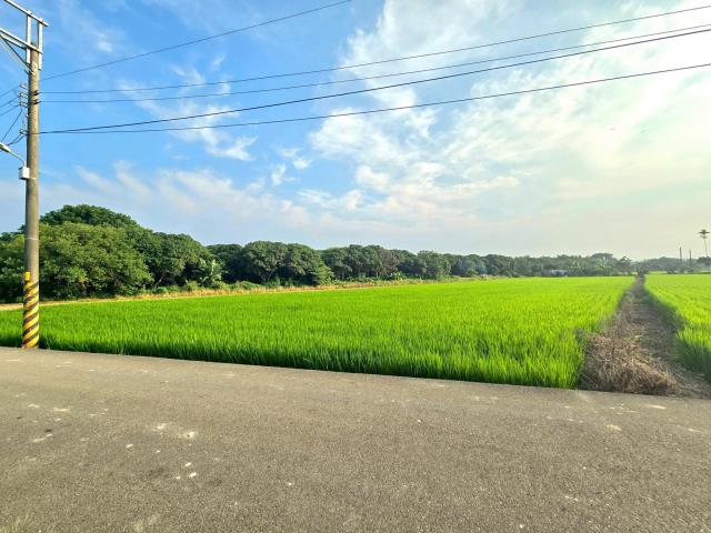 台中神岡農地-1