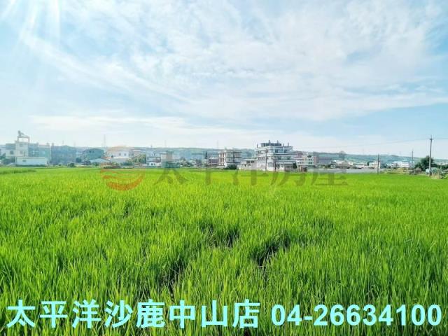 台中清水農地-4