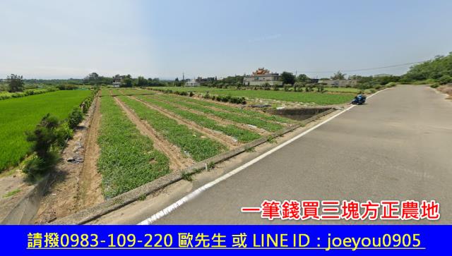 後龍法拍農地-3