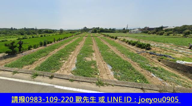 後龍法拍農地-4