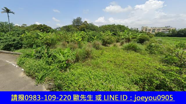 通霄農地法拍-10