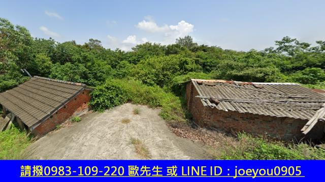 通霄農地法拍-11