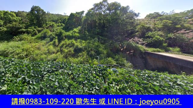 通霄法拍農地-12