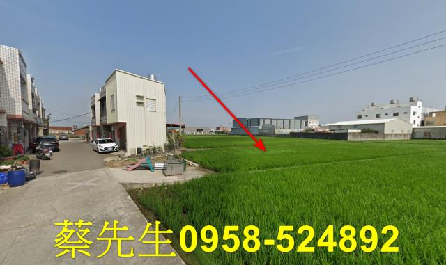 大安區法拍農地-4