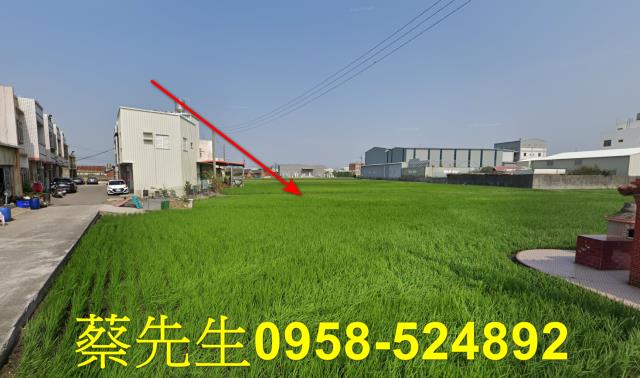 大安區法拍農地-5