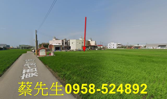 大安區法拍農地-6