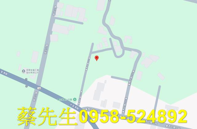 大安區法拍農地-8