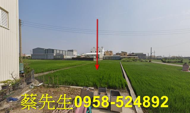 大安區法拍農地-9