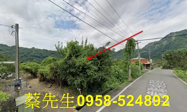 泰安農地法拍-6