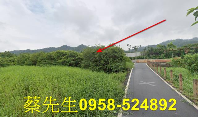 銅鑼法拍農地-15