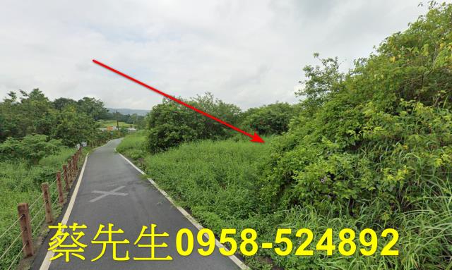 銅鑼法拍農地-4