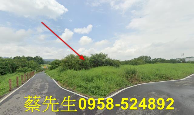 銅鑼法拍農地-5