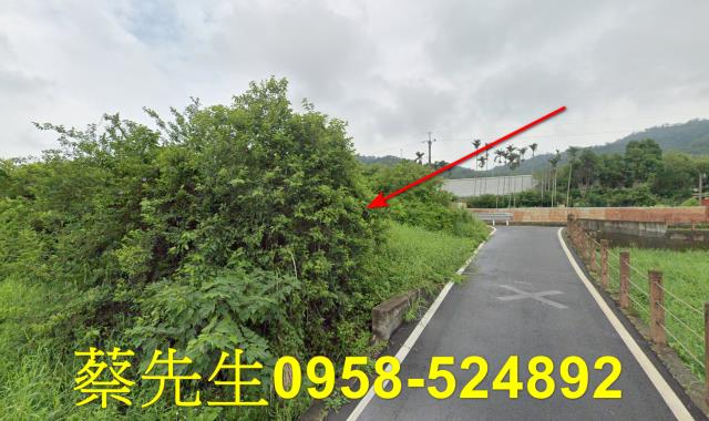 銅鑼法拍農地-6