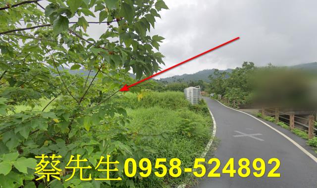 銅鑼農地法拍-15