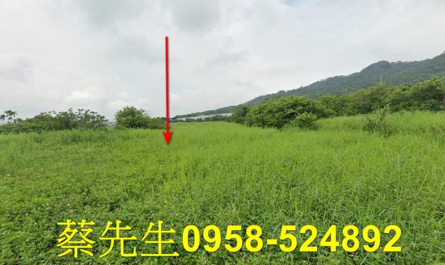 銅鑼農地法拍-1