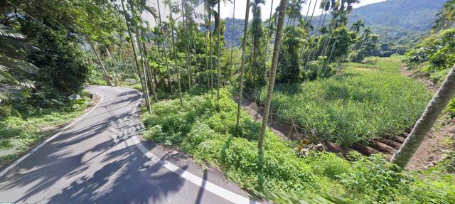 南投國姓法拍農地-12