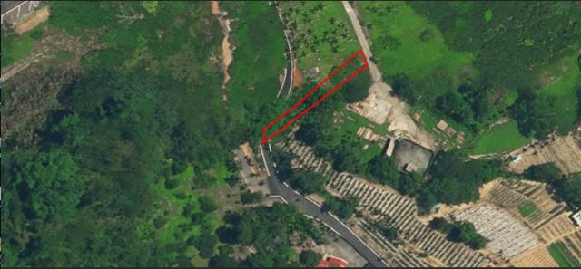 南投國姓法拍農地-2