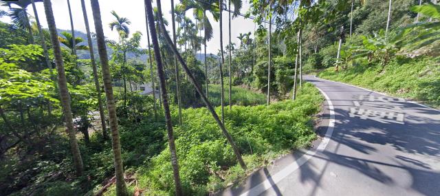 南投國姓法拍農地-5