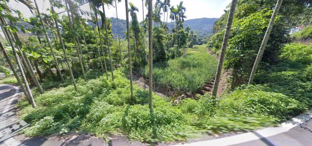 南投國姓法拍農地-9