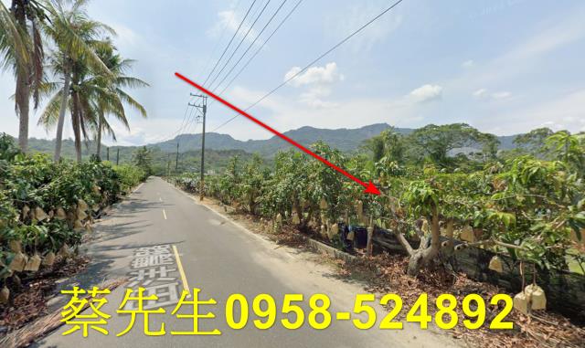 台南南化農地拍賣-12