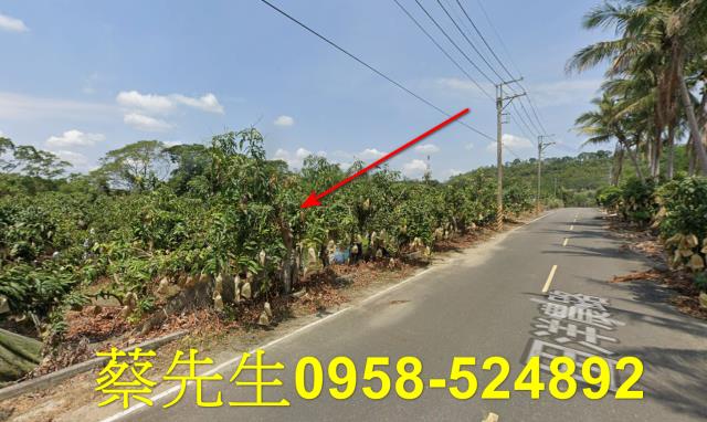 台南南化農地拍賣-14