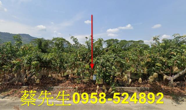 台南南化農地拍賣-1