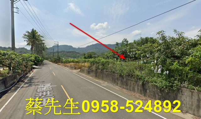 台南南化農地法拍-4